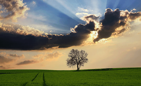 帶順字的女孩名字