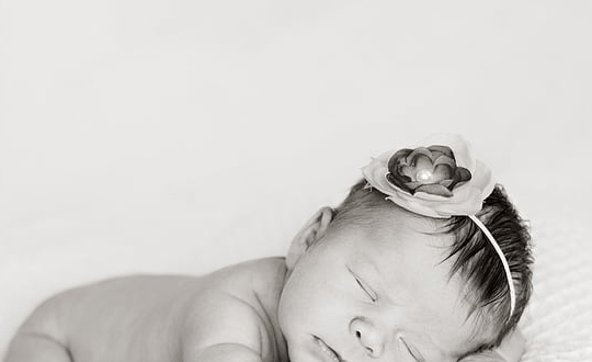 國外屬鼠的名人，國外屬鼠的名人有哪些