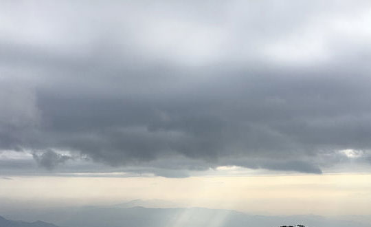 姓林孩子起名字 林姓取名洋氣的名字大全:儒雅有寓意