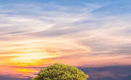 簡(jiǎn)短英文網(wǎng)名