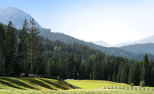 好聽順口的英文名女知性優雅