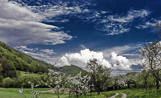 女孩子取名大全經典洋氣帶寓意:取名思路推薦