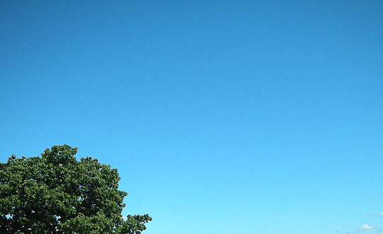 新生嬰兒起名時尚內涵的女孩名字:單字有涵義