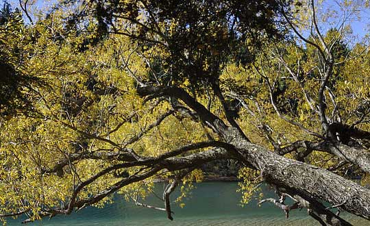 給新生女孩起名字大全集:洋氣有寓意