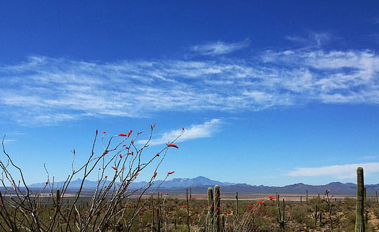 適合女孩取名有寓意的女孩名字大全:吉祥好聽