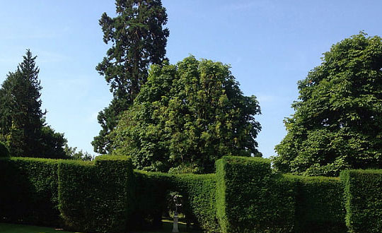 有內(nèi)涵的小孩起名大全女孩:唯美洋氣