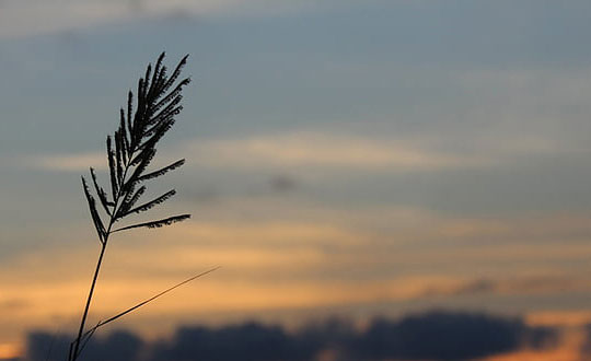 寶寶取名字女孩時(shí)尚洋氣:儒雅有寓意
