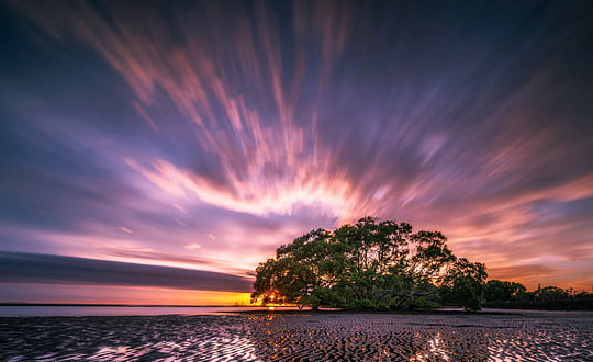 清新自然的內涵女孩名字精選:儒雅經典