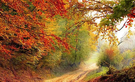 寶寶取名字女孩時(shí)尚洋氣:取名小訣竅