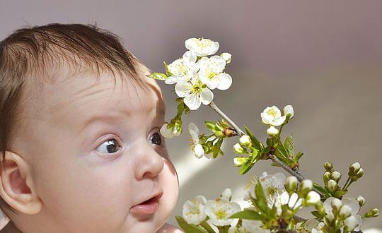 最流行的女孩寶寶名字大全:唯美洋氣
