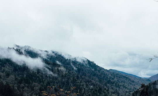 女孩取名字好聽吉祥有內涵 :單字有涵義