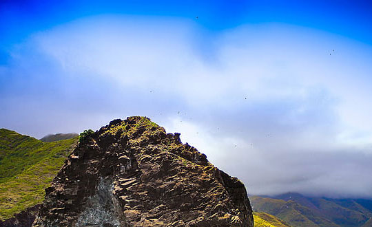 好聽又簡單的女孩名字精選:內涵有寓意