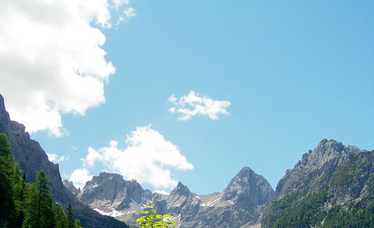 最好聽的賴姓女孩名字 姓賴的女孩名字獨特:唯美洋氣