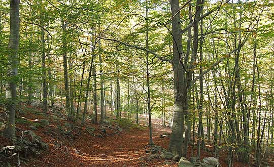 女寶寶的名字,給小孩取個好名字:儒雅有意蘊