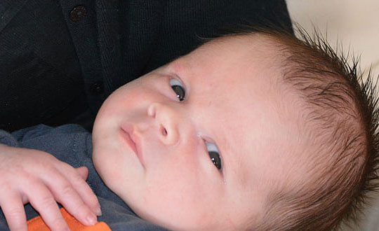   女孩取名詩經楚辭的唯美名字：取名單字分享