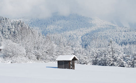 女孩聰明有涵養的名字大全:經典有詩意