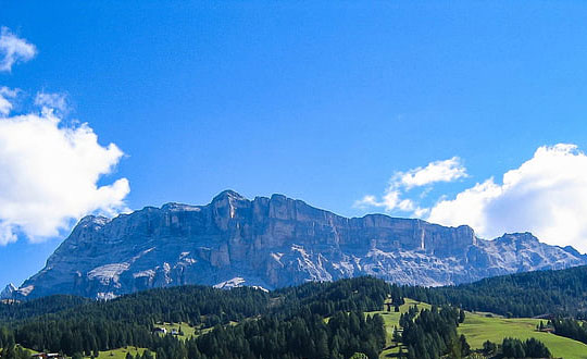 詩經取名女孩名字大全:內涵經典起名集