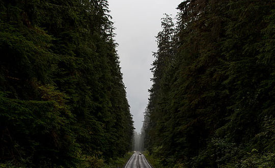 女孩取名詩(shī)詞,詩(shī)詞女孩名字大氣:起名思路參考
