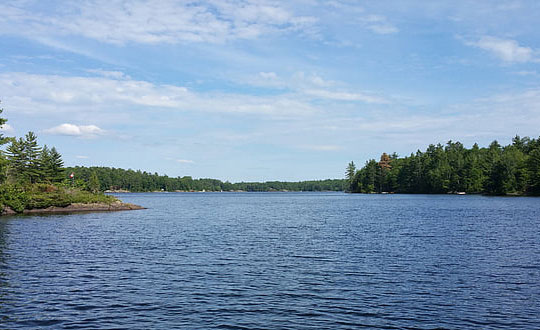 儒雅的女孩名字優(yōu)雅大氣:源自詩意有寓意