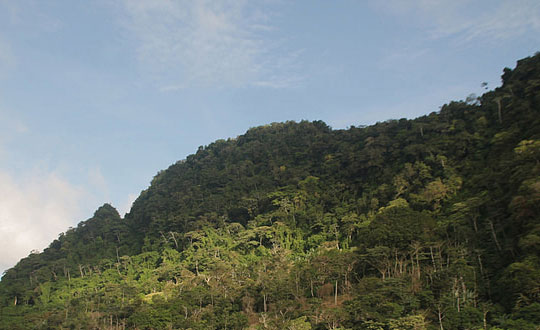 女孩起名什么字好,時尚女孩名字大全:詩意洋氣