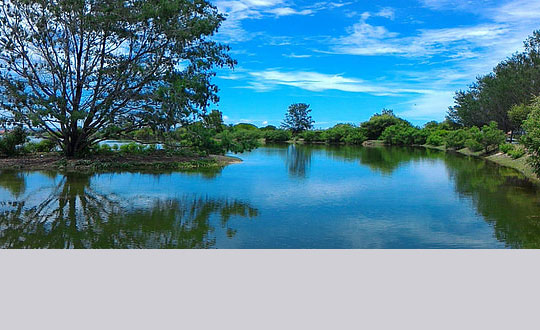 女寶寶取名字,小女孩名字大全:內(nèi)涵洋氣