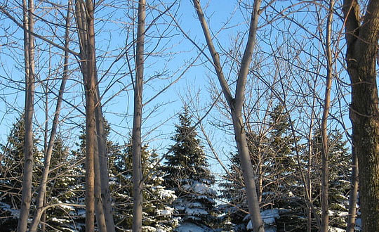 1200個好聽的男孩名字,獨特新穎的男孩名字參考