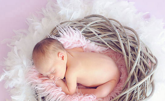 老師起名網男孩