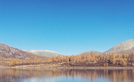 網上哪個老師起名權威