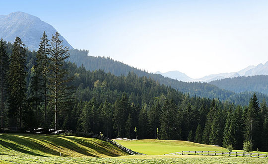 屬鼠女生小名洋氣