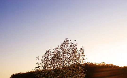 寶寶起名方法大全及六大起名字要素