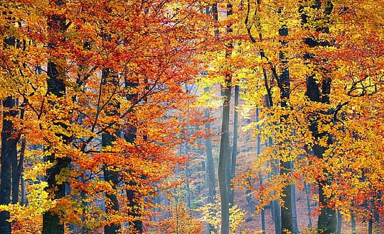 男孩子取名,周姓男孩取名,男孩取名:起名方法探討