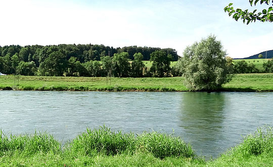 楚辭男孩取名字 楚辭有典故的男孩名字：獨特經(jīng)典