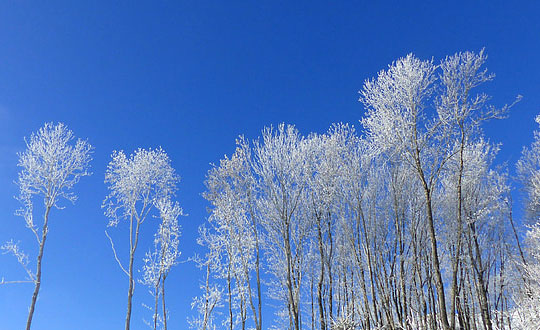 如何給陳姓男孩子起名字 陳氏男孩名字大全:起名小思路