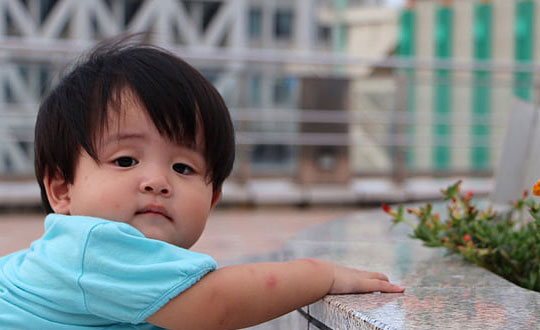 楚辭中最唯美的男孩名字 楚辭500名字大全:好聽大氣