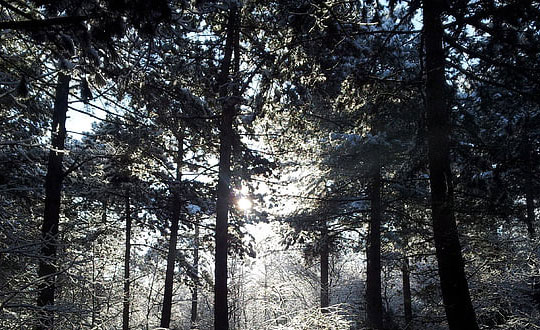 男生的名字好聽又帥氣 好聽有蘊意的男孩名字:注意事項