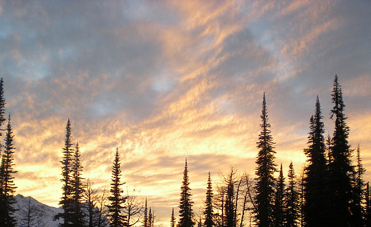 姓楊男孩子的好聽酷名字 楊姓男孩取名有內涵:思路參考