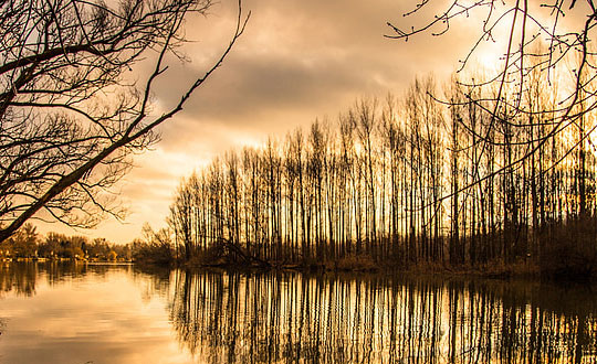 給男孩取名字大全洋氣內(nèi)涵一點(diǎn)的:帶寓意的詩(shī)詞名字