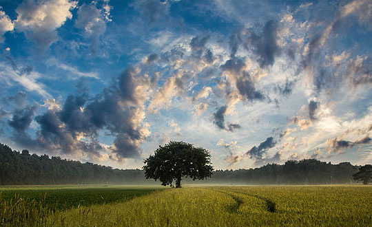 詩經楚辭中男孩的名字,楚辭起名字大全男孩