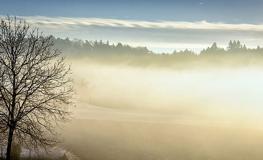 根據楚辭詩詞取男孩名字:儒雅有寓意