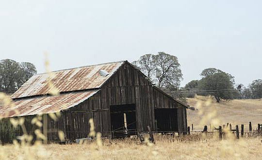 小孩取名大全女孩 女生名字好聽大氣有寓意