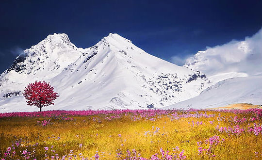 鼠年寶寶取名蘭質蕙心屬鼠吉利名字:清新自然