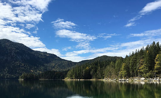 任姓單字女孩名字 任姓單字女孩名字