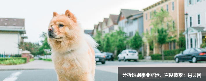 楊姓簡單寓意好的名字有哪些？