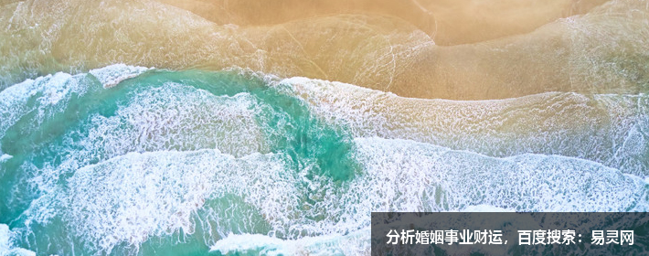 楊姓男孩屬兔名字大全來(lái)了