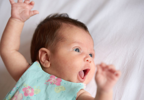 寶寶起名:龍年清新脫俗的女寶寶名字