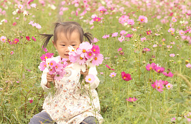 2024龍年命帶富貴的龍寶寶名字，個個好運連連！