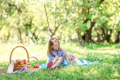龍寶寶“璟”子福氣兄妹名，龍寶寶跟璟字最配的字