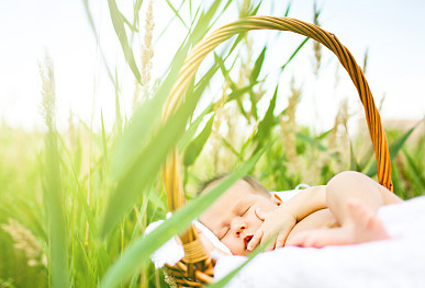 生辰八字起名寶典:女孩稀少龍年好聽名字