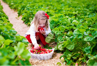 寶寶取名:怎樣給姓柯新生兒取名字