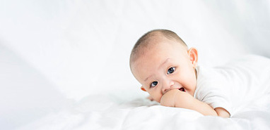 詩經取名:秦姓詩經中特別唯美的名字